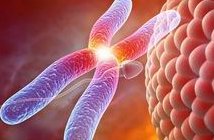 重庆可以做试管的医院有哪些？附试管医院推荐分享